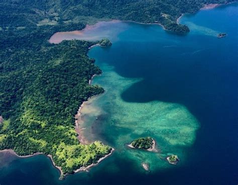 Best Things To Do on the Osa Peninsula | Costa Rica Experts