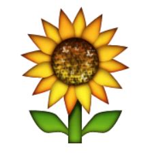 Ios Emoji Sunflower