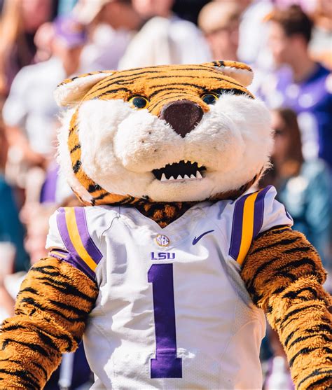 LSU Mascot: The History Behind Mike the Tiger? - EducationWeb