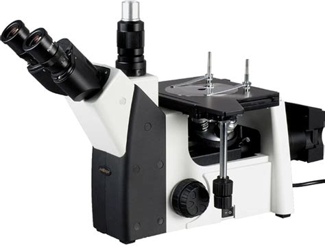 Inverted vs Upright Microscope: Which to Choose? - Optics Mag