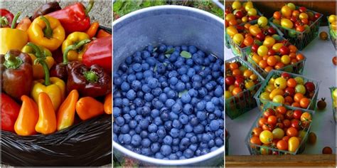 20 Best Fruits, Herbs & Veggies That Thrive In Containers