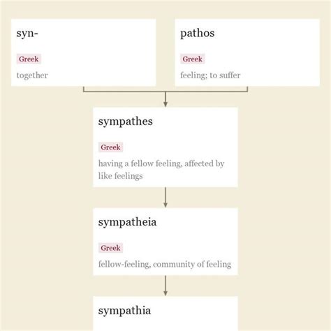 sympathetic | Etymology of sympathetic by etymonline