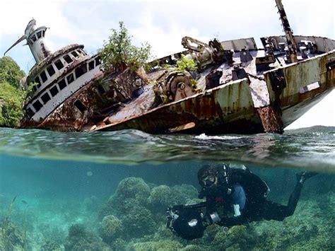 Solomon Islands Diving, an essential guide - Master Liveaboards