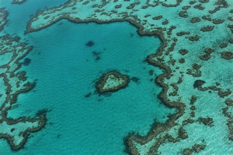 Heart Reef Foto & Bild | australia & oceania, australia, queensland Bilder auf fotocommunity