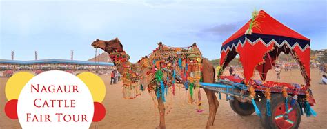 Nagaur Cattle Fair Tour | Rajasthan Tours