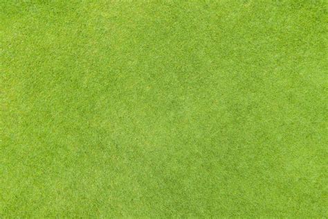 Grass Texture Images – Browse 1,272,353 Stock Photos, Vectors, and Video | Adobe Stock