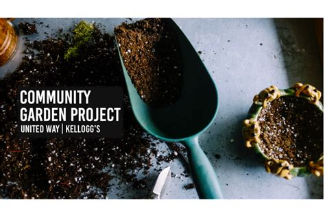 United Way, Kellogg’s hosting Community Garden Project – Y-City News