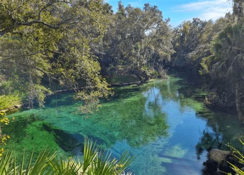 Visit Blue Springs Florida: A Beautiful State Park - Gallivanting Laura