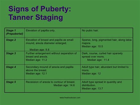 #pomskies+as+adults+ages+stages+puberty+stages+1+4+years+1+4+years Normal pubert - DaftSex HD