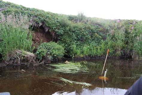 Melted Permafrost in Alaska a Sign of Accelerating Climate Change | WCAI