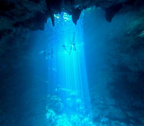 Cenote Diving in Tulum: A COMPREHENSIVE Guide [2024]