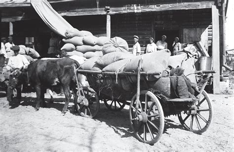 Historical Photographs of the Holodomor - HREC Education