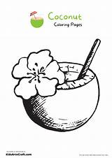 Coconut Coloring Pages For Kids – Free Printables  Art & Craft sketch template