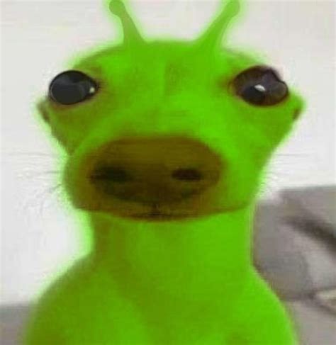 Green Alien Dog | Green Alien-posting / Gnarp Gnarp / Geeble | Know Your Meme