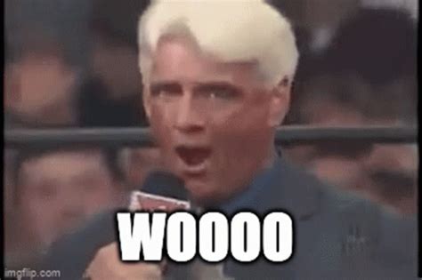 Woo Ric Flair Woo GIF – Woo Ric Flair Woo Ric Flair Gif – otkrijte i ...