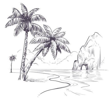 Premium Vector | Palm tree landscape. sketch tropical palms ocean coast ...