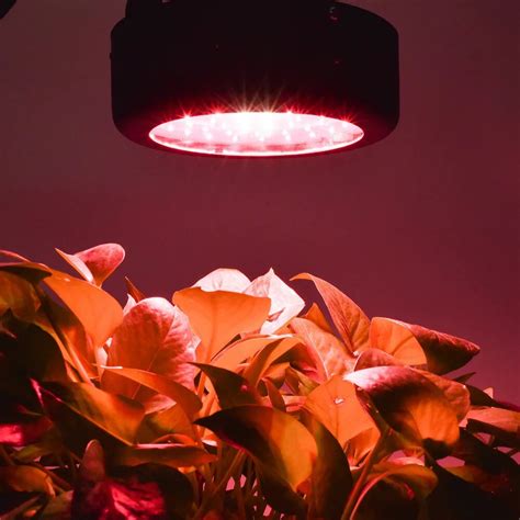 2017 Hot Sales LED Grow Light 50x1W Mini Grow LED Aquarium Light Emitting Diode Black White ...