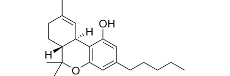 What is Delta 8 THC? - Everything You Need to Know About Delta 8 THC (2022)