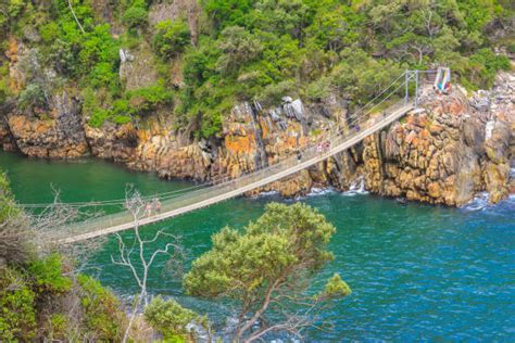 Parque Nacional De Tsitsikamma - Stock Photos e Imagens - iStock