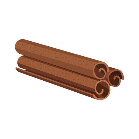 Vector illustration of Cinnamon Sticks species isolated on white ...