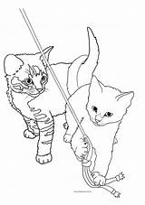 Cat Coloring Pages sketch template