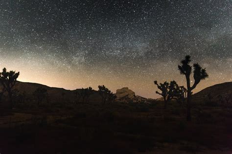 The night sky at Joshua Tree National Park, California [OC][5760x3840] : EarthPorn