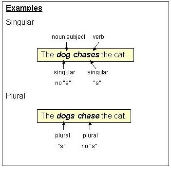 Subject Verb Agreement - Lessons - Blendspace