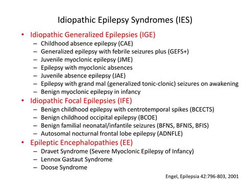 PPT - Genetic Epilepsies and GABA A Receptor Mutations November 17, 2012 PowerPoint Presentation ...