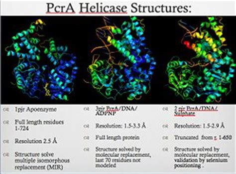 Helicase - Proteopedia, life in 3D