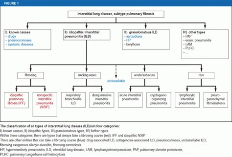 The Diagnosis and Treatment of Pulmonary Fibrosis (05.03.2021)