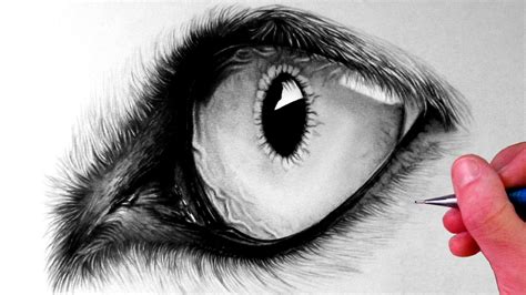 Werewolf Eyes Drawing, Pencil, Sketch, Colorful, Realistic Art Images | Drawing Skill