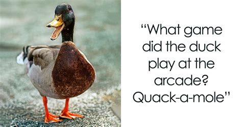 131 Duck Jokes That Might Just Quack You Up - Smile and Happy