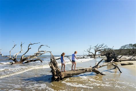 Driftwood Beach • Jekyll Island, Georgia • Vacation, Conservation, and ...