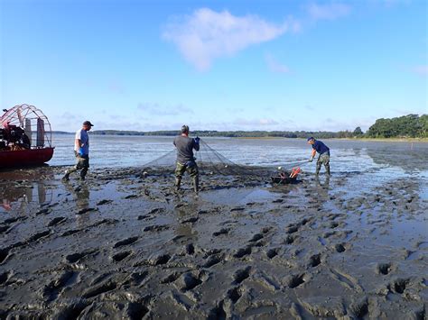 Collaboration on the Mudflats