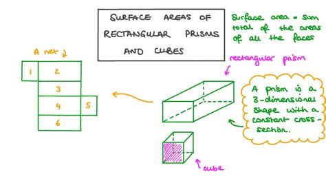 Nets Rectangle - Surface Area Nets Ms Roy S Grade 7 Math - In euclidean ...