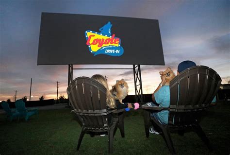 50 Best Drive-In Movie Theater Near Me in Every State in the USA - Tripelle