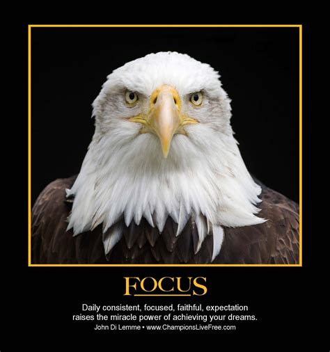 It all takes focus! | Inspirational success, Bald eagle, Motivational posters