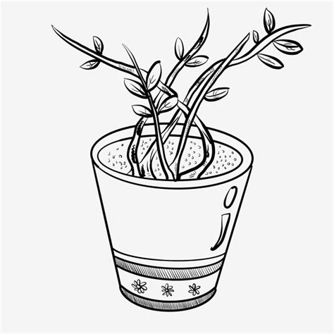 Line Drawing Potted Plant Illustration, Beautiful Flower Pots, Line Drawing Small Objects, Line ...