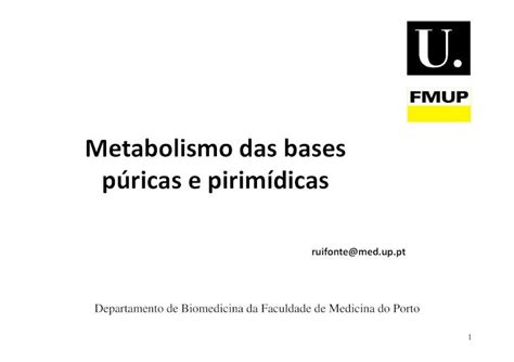 (PDF) Metabolismo das bases púricas e pirimídicas · Os ácidos nucleicos ...