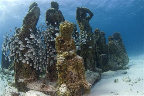 Diving the MUSA Cancun Underwater Museum (2024 Guide)