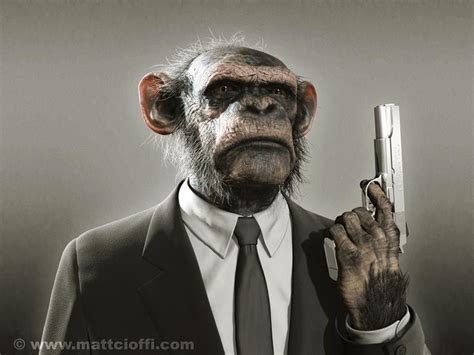 Gangsta Chimp | Monkeys funny, Funny animals, Monkey wallpaper