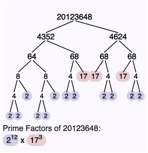 Animated Prime Factorization Calculator! This tool is great for really understanding ...