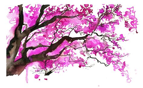 Watercolor Japanese Cherry Blossom Tree by JessicaIllustration