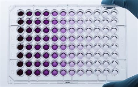 MTT Assay Protocol for Cell Viability and Proliferation