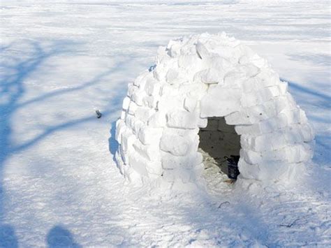 1000+ images about Inuits & igloos on Pinterest