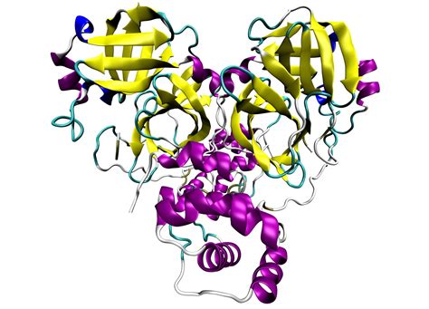 Chinese Scientists Determine COVID-19 Main Protease Structure and Potential Drugs to Combat the ...