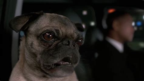 Men in Black 2- Frank the Pug singing - YouTube