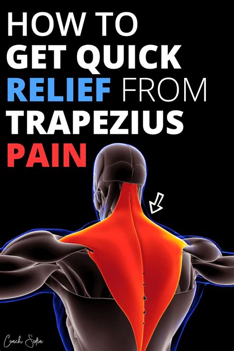 How To Fix Trapezius Pain Fast [Ultimate Guide] | Neck and shoulder ...