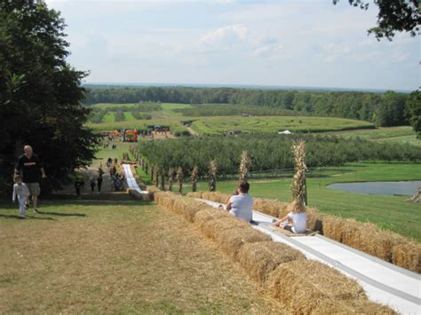 Find Corn Mazes in Brunswick Ohio - Pumpkin Village Mapleside Farms in Brunswick Ohio