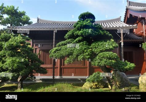 Tang dynasty style garden and wooden building Stock Photo - Alamy